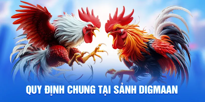 Sảnh Digmaan - Đấu Trường Đá Gà Online Uy Tín Tại 78win 1 Quy định chung tại sảnh digmaan